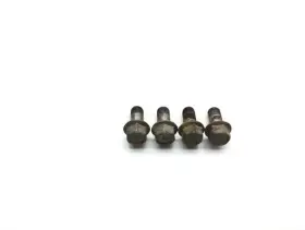 232916 Yamaha Footpeg Foot Peg Bolts 2008 Raptor 250 Yfm250r 2477a