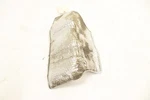 Polaris Ranger 500 21 Heat Shield Rear Bottom Floor 5264245 50830 Used. Price: $34.99.