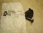 Polaris Ranger, Sportsman, Rzr Nos Screw 7517686 Qty Oem New. Price: $9.49.